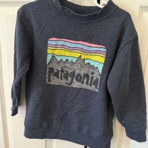 Patagonia Blue Sweatshirt Casual Wear